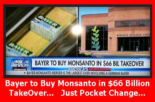 Bayer_Buys_Monsanto.jpg