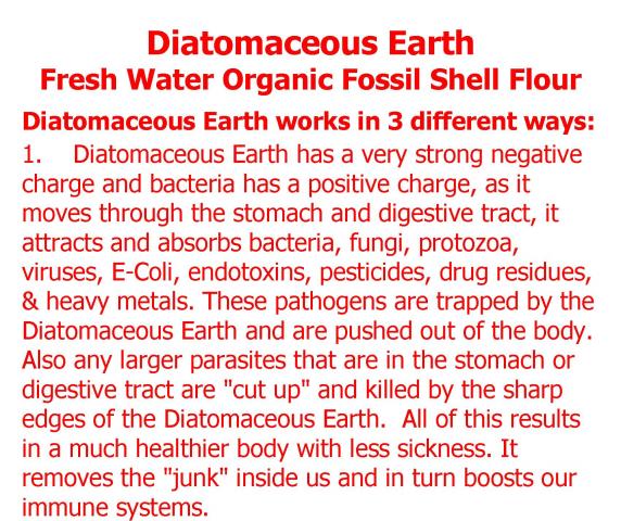 DIATOMACEOUS_EARTH_-_Brochure_for_Web_Page_01.jpg