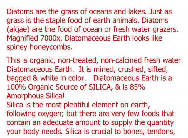 DIATOMACEOUS_EARTH_-_Brochure_for_Web_Page_07.jpg