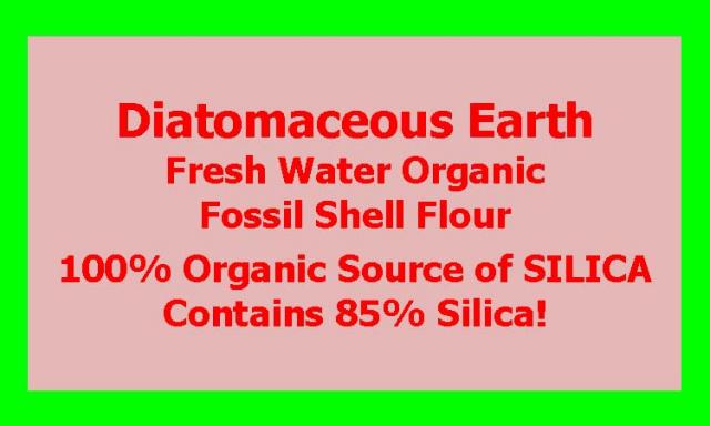 Diatomaceous_Earth_logo.jpg