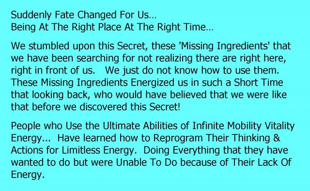 Infinite_Mobility_Vitality_Energy_Page_4.jpg