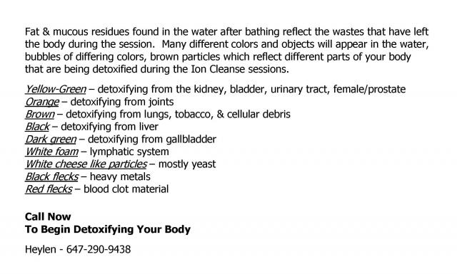 Ion_Brochure_-_for_Web_Page_7.jpg