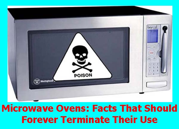 Microwave_Facts.jpg