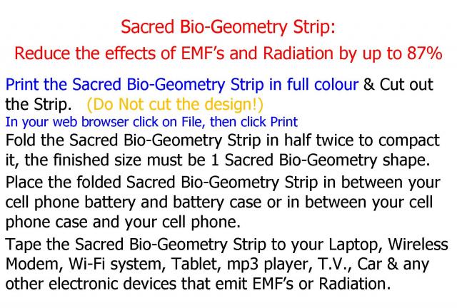 Sacred_Bio-Geometry_Strip_Page_1.jpg