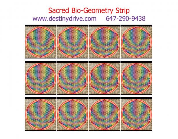 Sacred_Bio-Geometry_Strip_Page_3.jpg
