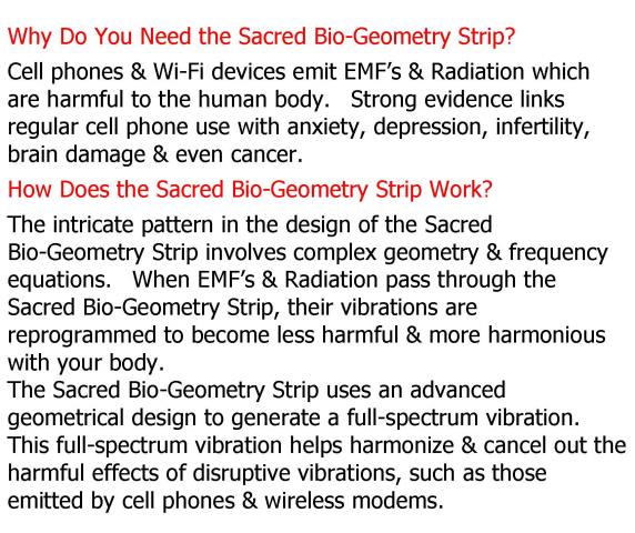 Sacred_Bio-Geometry_Strip_Page_4.jpg