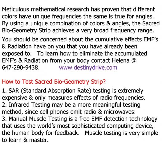 Sacred_Bio-Geometry_Strip_Page_5.jpg