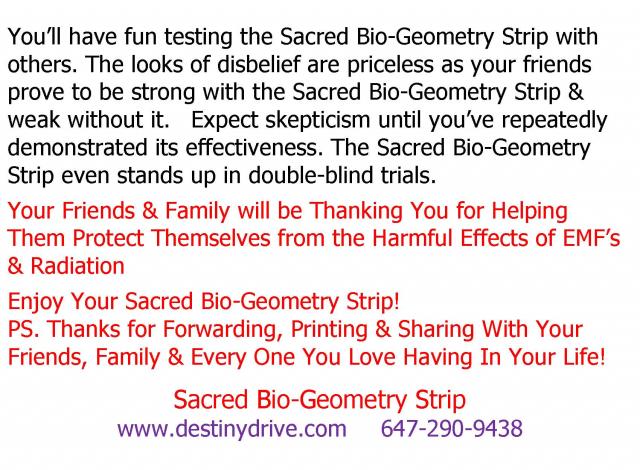 Sacred_Bio-Geometry_Strip_Page_6.jpg